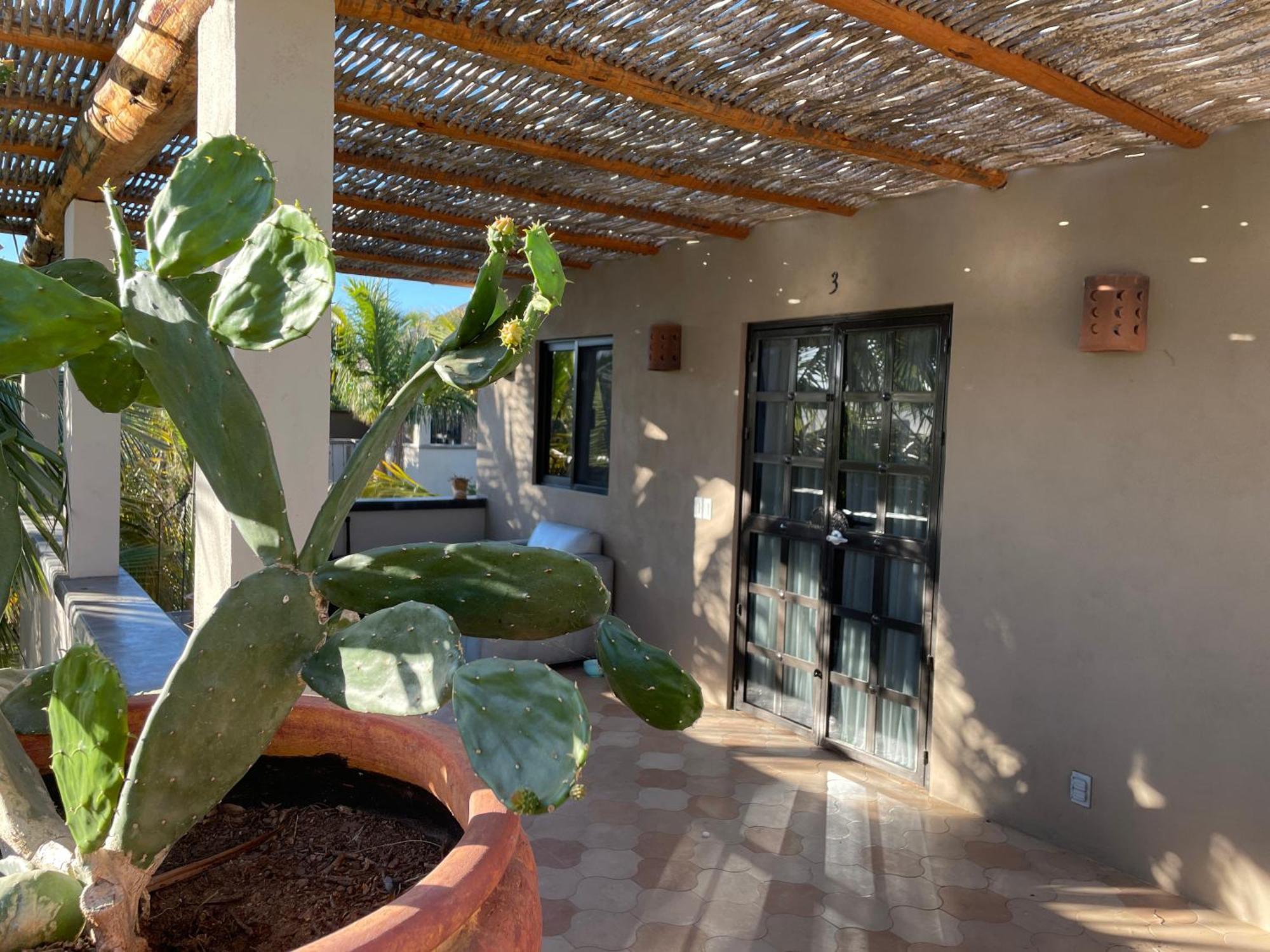 Pure Baja Private Suites-Upscale Property With Infinity Pool And Lush Gardens El Pescadero  Exterior photo